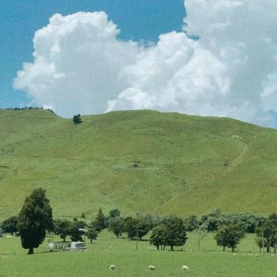 波胆app官网手机app下载