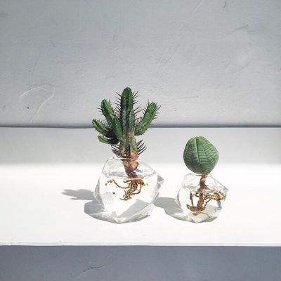 AG旗舰厅app下载