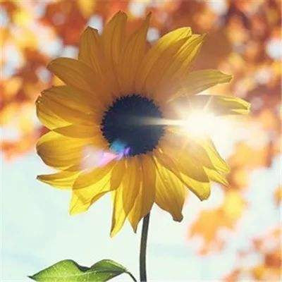 爱游戏全站官方网站入口