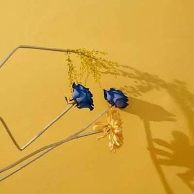 一肖三码手机app下载截图